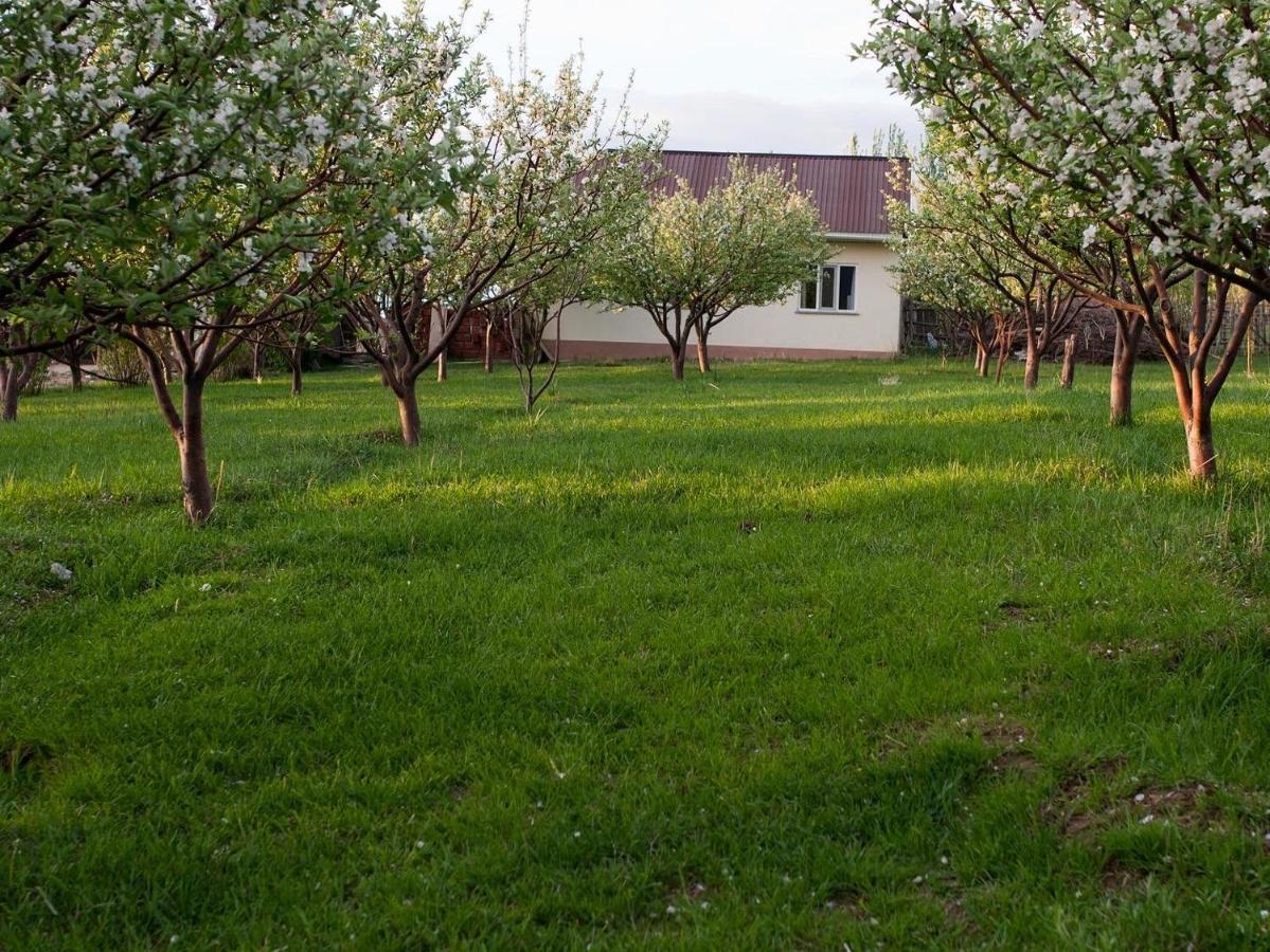 Barskoon Guest House Exterior photo